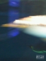 20170514144229