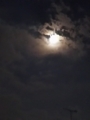 20180728022933