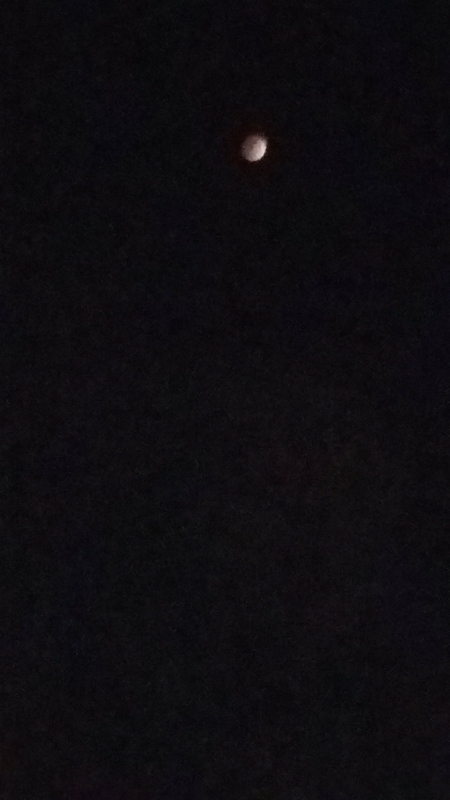 20180728033007