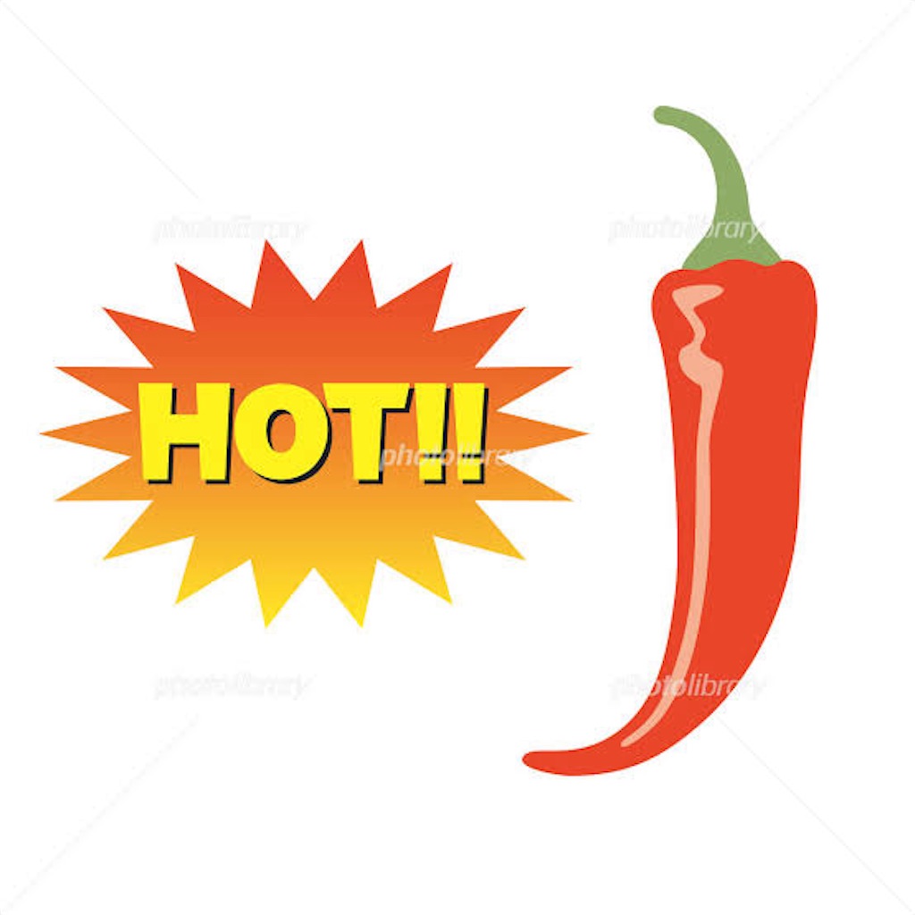 f:id:gekikara_karajo:20240518151631j:image