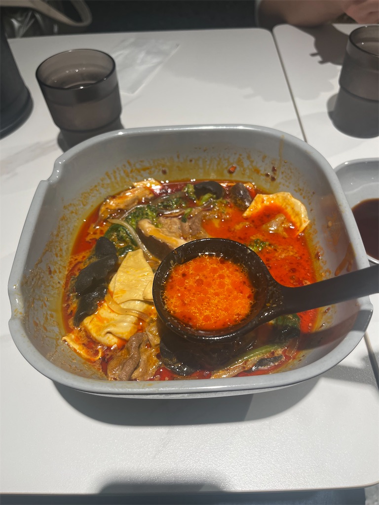 f:id:gekikara_karajo:20240519163715j:image