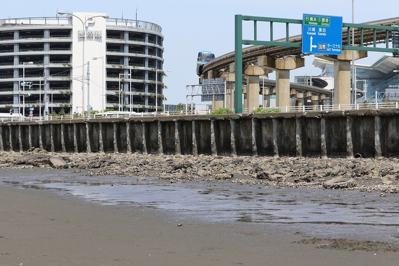 羽田空港 潮干狩り 壬生狼一家