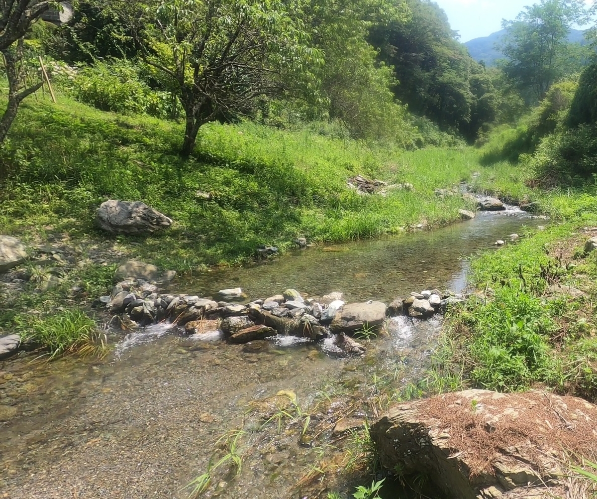 f:id:gekisamurai:20210802095428j:plain