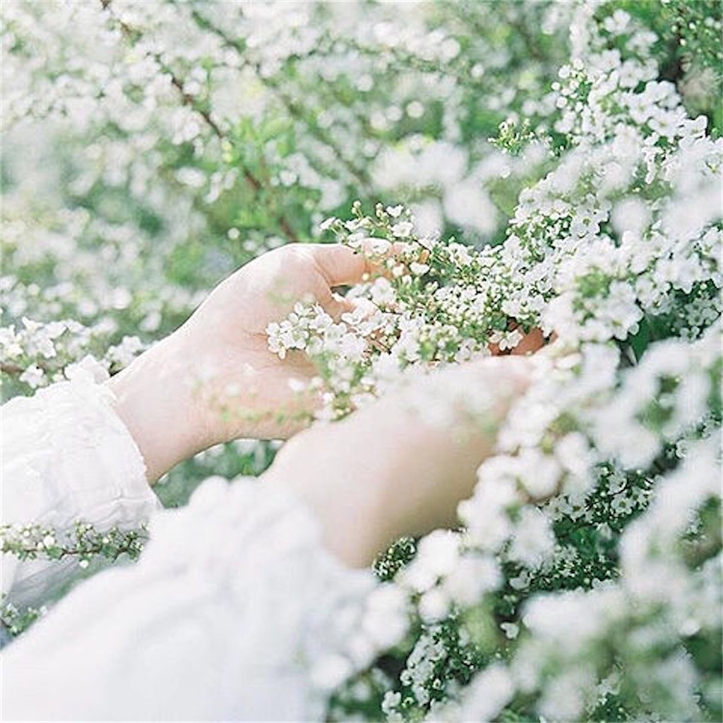 f:id:gekisase:20200627120205j:image f:id:gekisase:20200627120205j:image