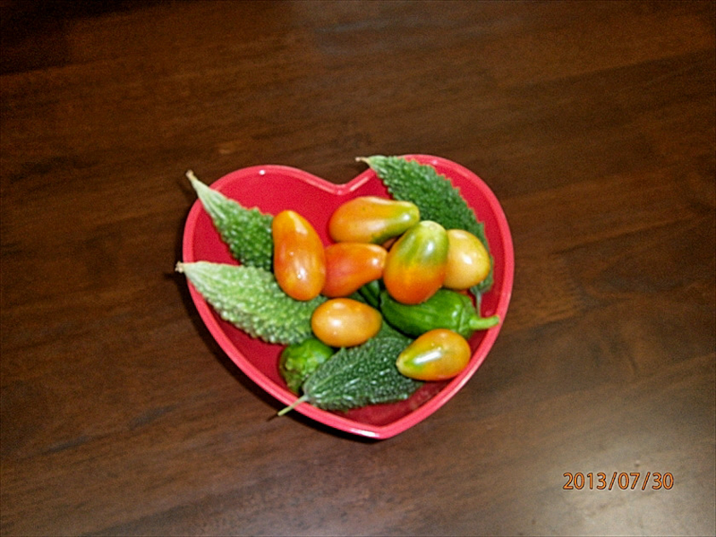 f:id:gekkaen1060:20130730094448j:image:w640