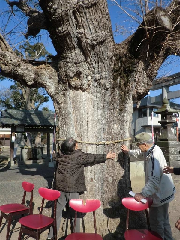 f:id:gekkaen1060:20190107133933j:image:w360