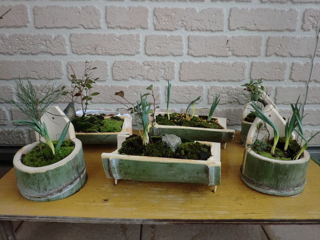 f:id:gekkaen1060:20190227134216j:plain f:id:gekkaen1060:20190227134216j:plain