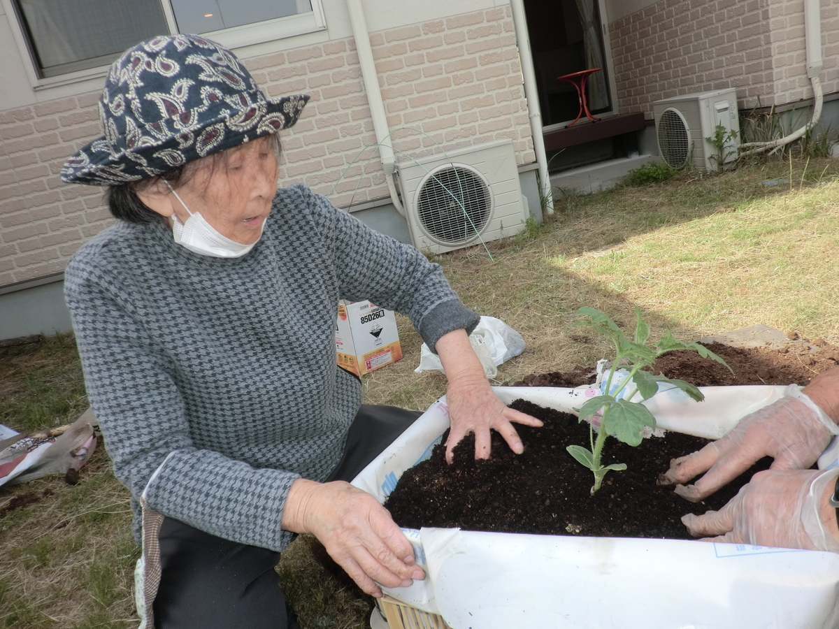 f:id:gekkaen1060:20210510032009j:plain