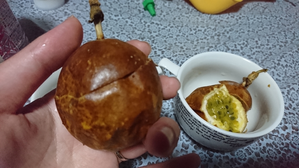 f:id:gekkoujyu:20190922121659j:plain