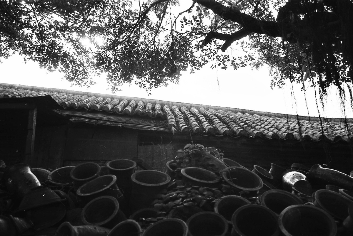 f:id:gekkousya:20201212234447j:plain