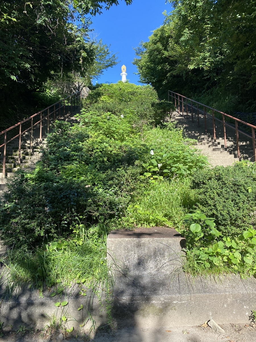 花岡山に朝の散歩 五五雑記