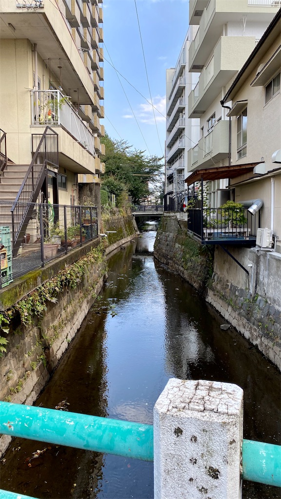 f:id:geko3:20231030073709j:image