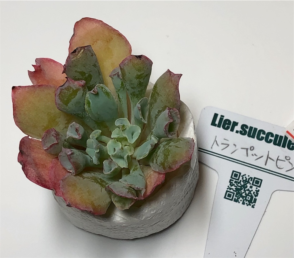 f:id:gekosuke1001:20201005222602j:image