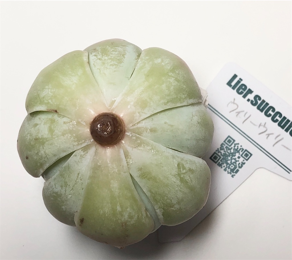 f:id:gekosuke1001:20201007203211j:image