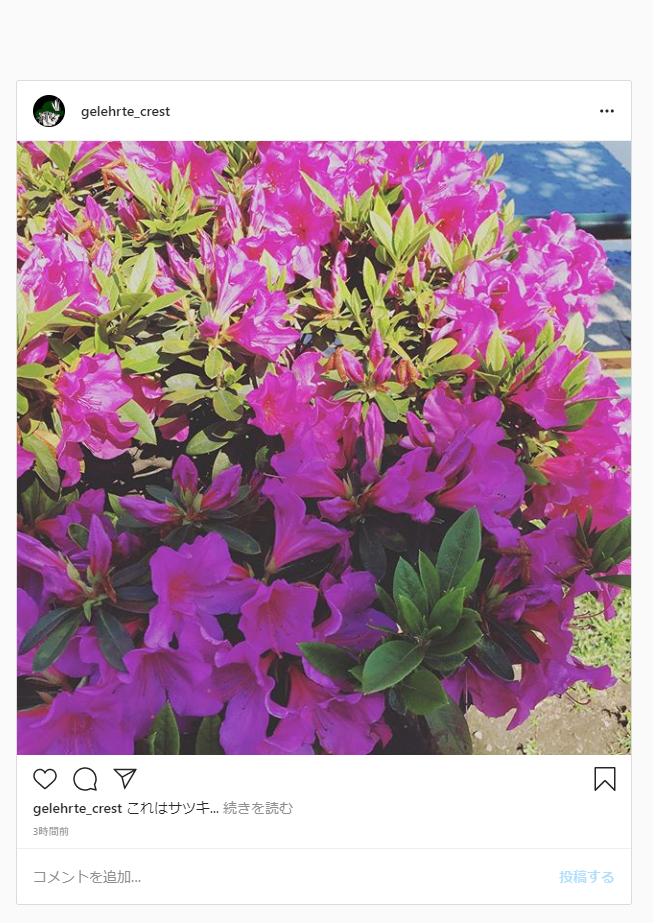 f:id:gelehrtecrest:20200425172335p:plain:w200 PCでInstagram