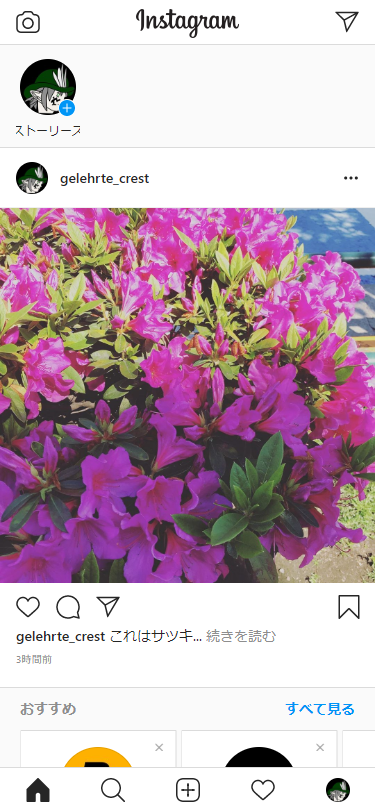 f:id:gelehrtecrest:20200425173735p:plain:w200 ChromeでInstagramのスマホ画面を開く