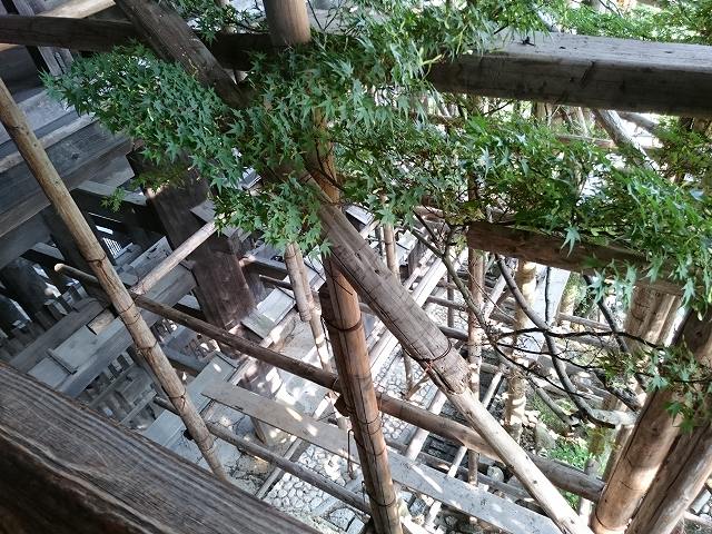 f:id:gem-clip:20170720203259j:plain