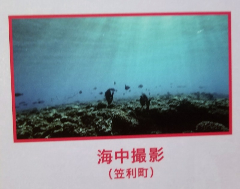 13.海中撮影(鹿児島県笠利町)