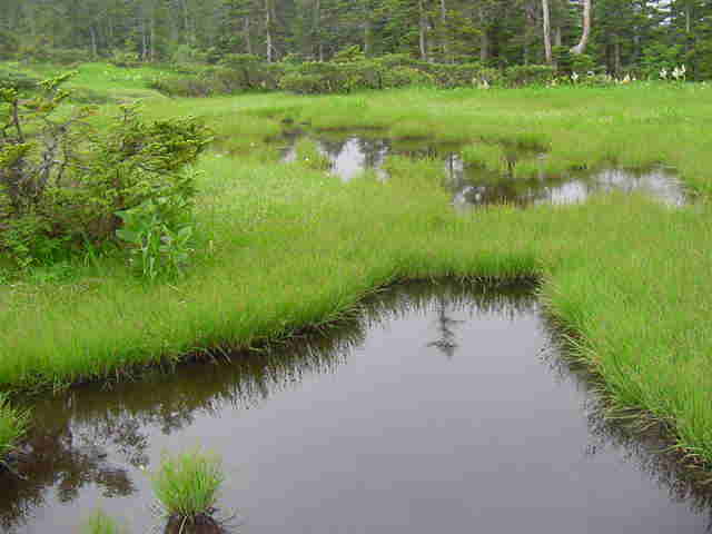 f:id:gemini-yahata:20170620130944j:plain f:id:gemini-yahata:20170620130944j:plain