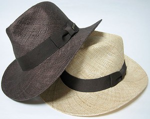 f:id:gemini-yahata:20170622113708j:plain f:id:gemini-yahata:20170622113708j:plain