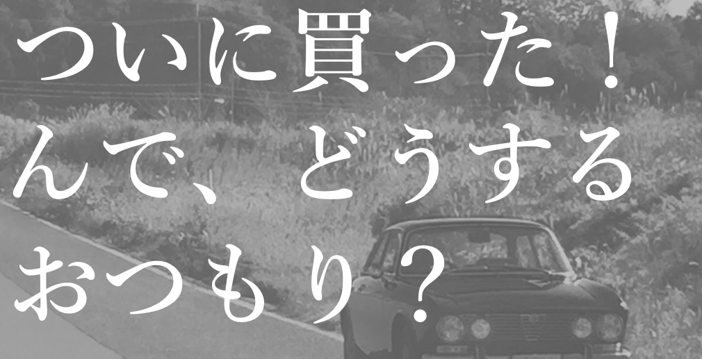 f:id:gemini-yahata:20170824124616p:plain