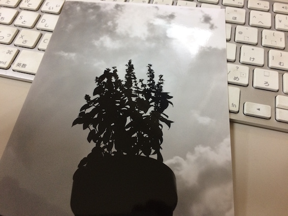 f:id:gemini-yahata:20170830124127j:plain