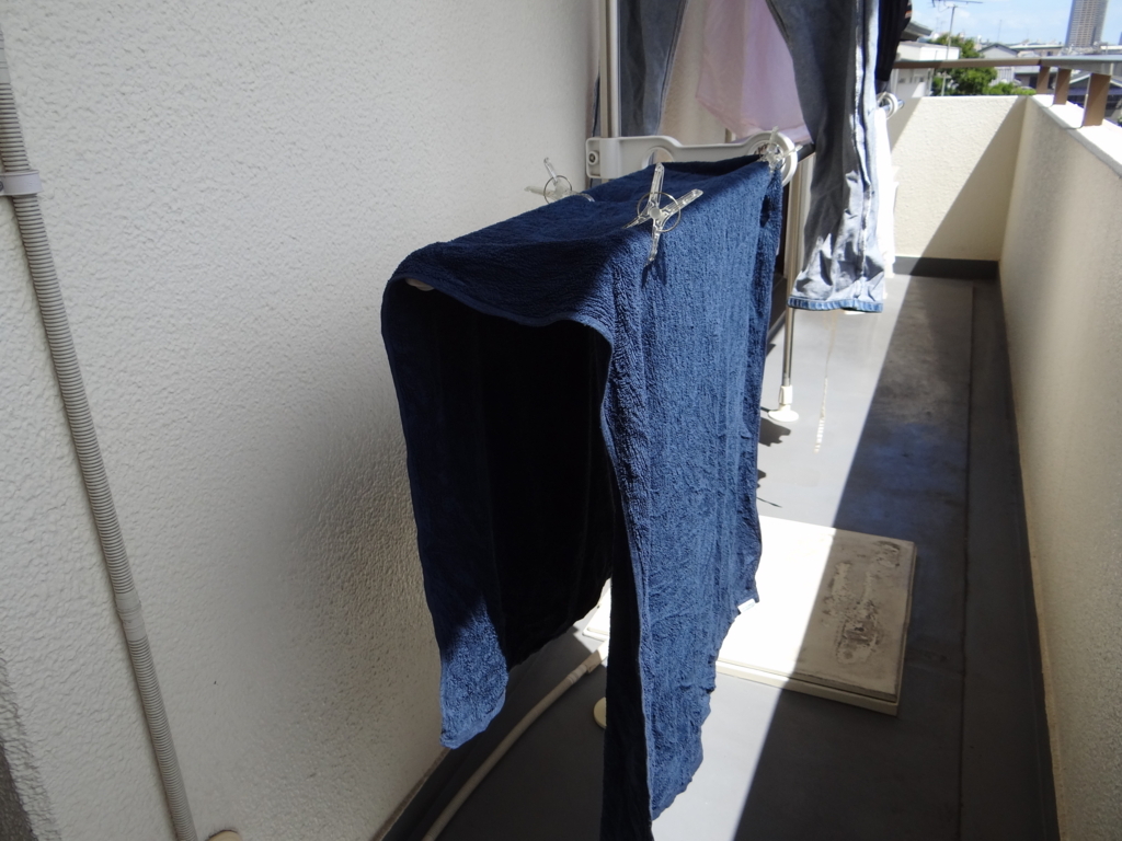 f:id:gemini-yahata:20170902143014j:plain