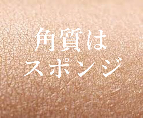 f:id:gemini-yahata:20180124140442j:plain