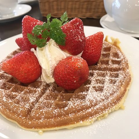 f:id:gemini-yahata:20180309143952j:plain