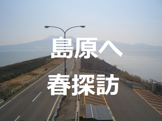f:id:gemini-yahata:20180311205209j:plain