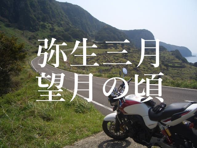 f:id:gemini-yahata:20180411133706j:plain