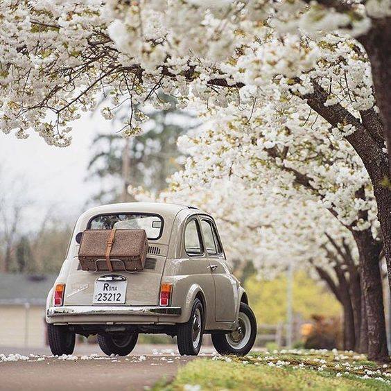 f:id:gemini-yahata:20180414094929j:plain