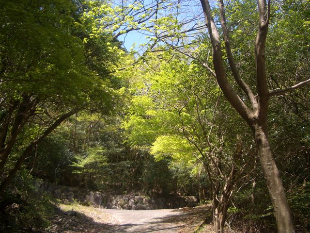 f:id:gemini-yahata:20180424171413j:plain