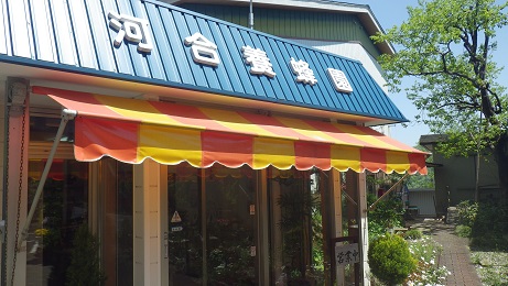 f:id:gemini-yahata:20180428233731j:plain