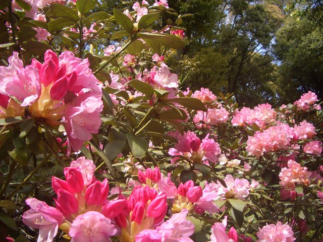 f:id:gemini-yahata:20180504130636j:plain f:id:gemini-yahata:20180504130636j:plain