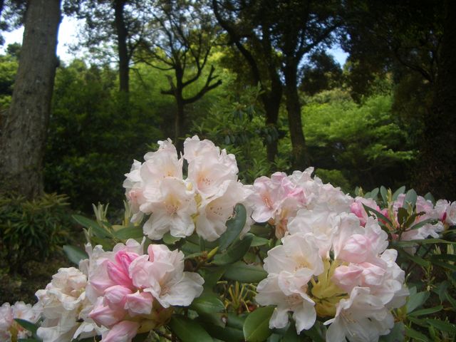 f:id:gemini-yahata:20180504130640j:plain f:id:gemini-yahata:20180504130640j:plain