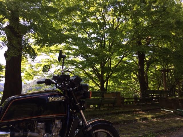 f:id:gemini-yahata:20180505205657j:plain