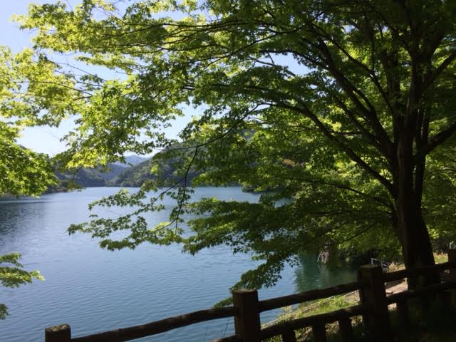 f:id:gemini-yahata:20180505205706j:plain