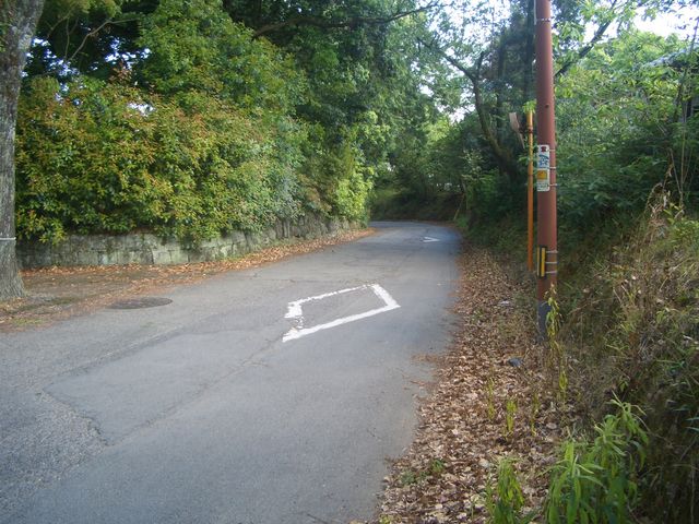 f:id:gemini-yahata:20180511160249j:plain