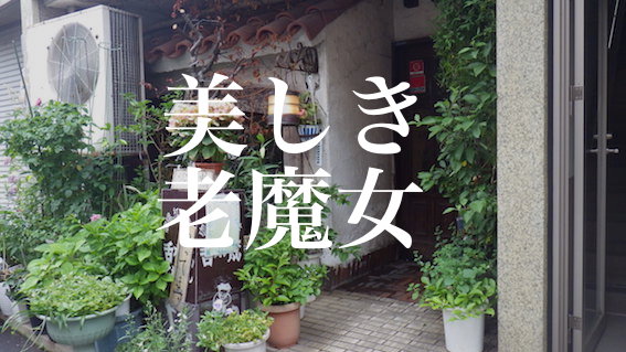 f:id:gemini-yahata:20180608150911j:plain