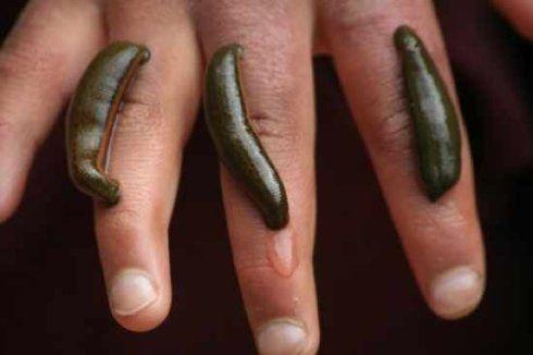 f:id:gemini-yahata:20180619131447j:plain f:id:gemini-yahata:20180619131447j:plain