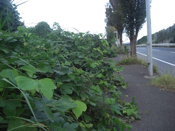 f:id:gemini-yahata:20180622142145j:plain f:id:gemini-yahata:20180622142145j:plain