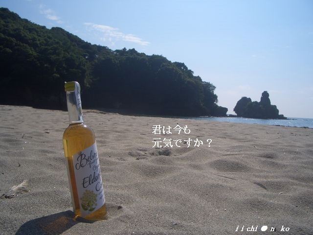 f:id:gemini-yahata:20180624142732j:plain