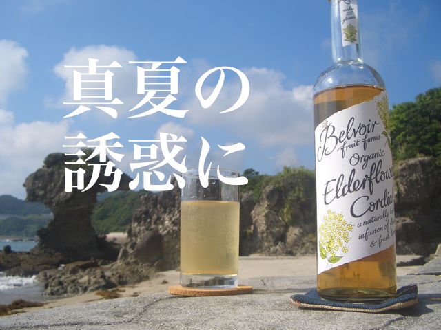 f:id:gemini-yahata:20180627133754j:plain