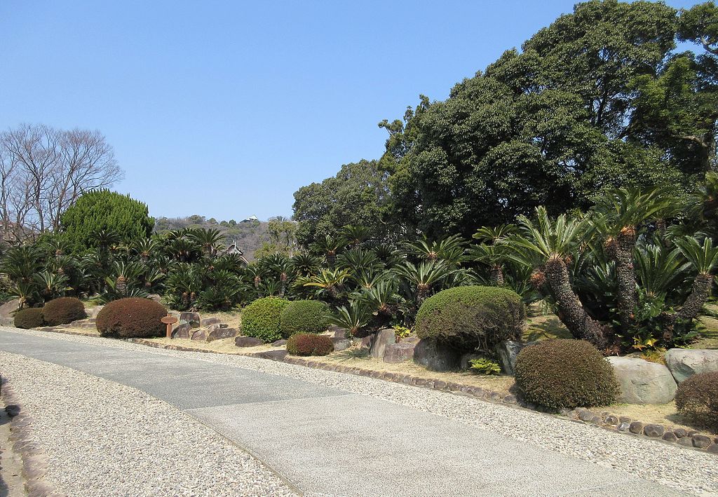 f:id:gemini-yahata:20180727143554j:plain