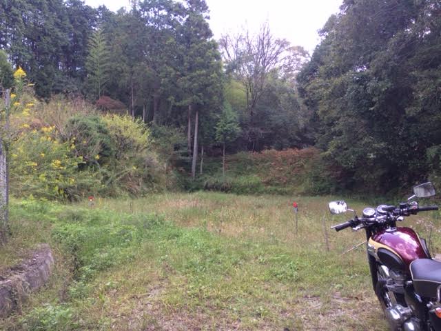 f:id:gemini-yahata:20181015152855j:plain f:id:gemini-yahata:20181015152855j:plain