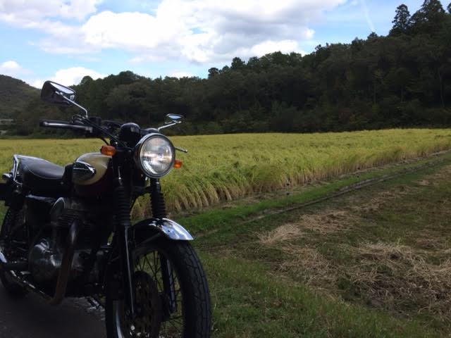 f:id:gemini-yahata:20181015152858j:plain f:id:gemini-yahata:20181015152858j:plain