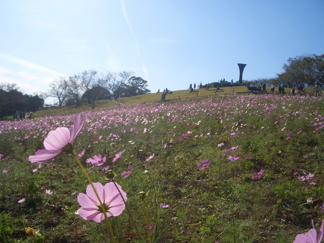 f:id:gemini-yahata:20181026114213j:plain