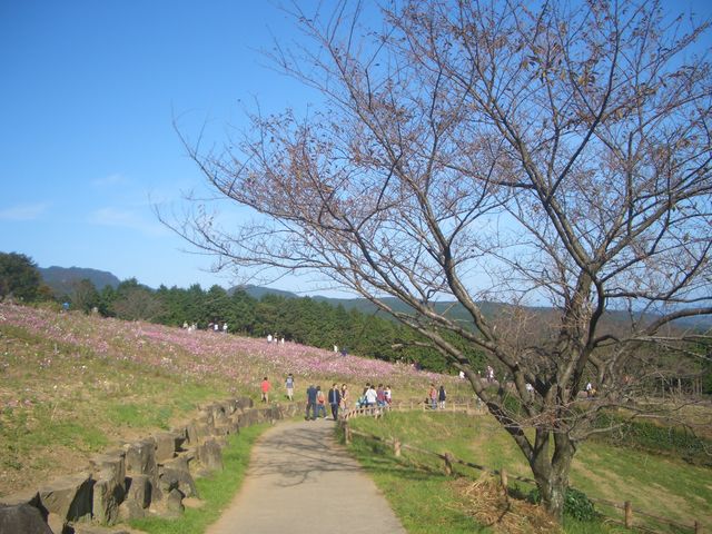 f:id:gemini-yahata:20181026114314j:plain