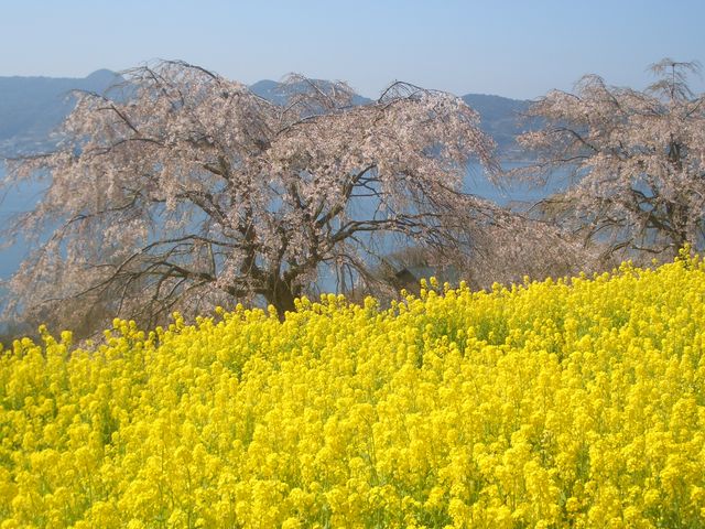 f:id:gemini-yahata:20181026114328j:plain